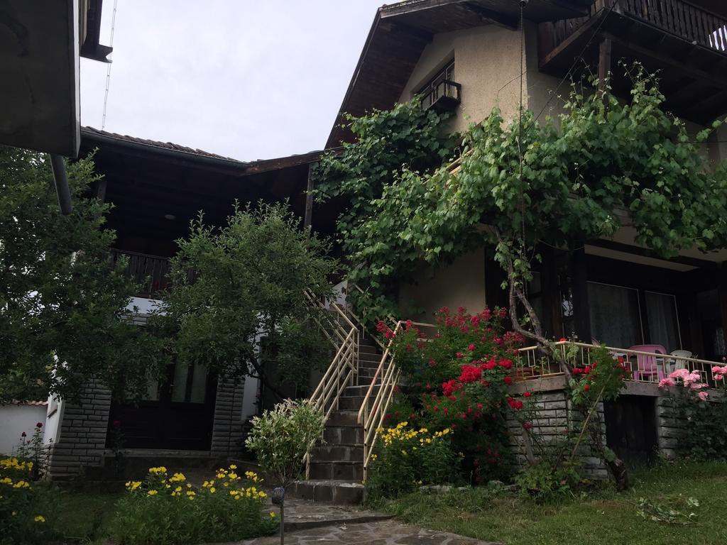 Luylyana Guesthouse Ribarica Exterior photo