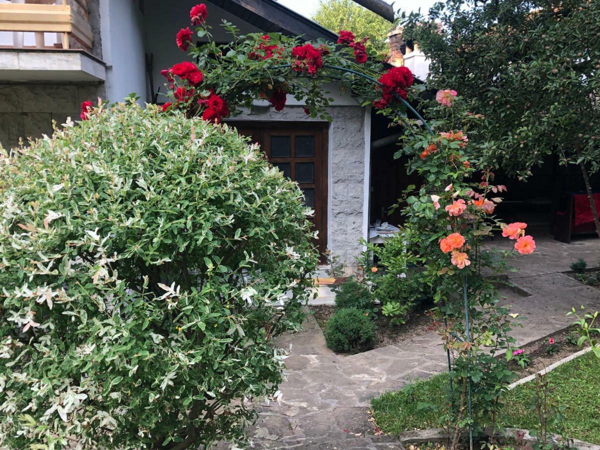 Luylyana Guesthouse Ribarica Exterior photo