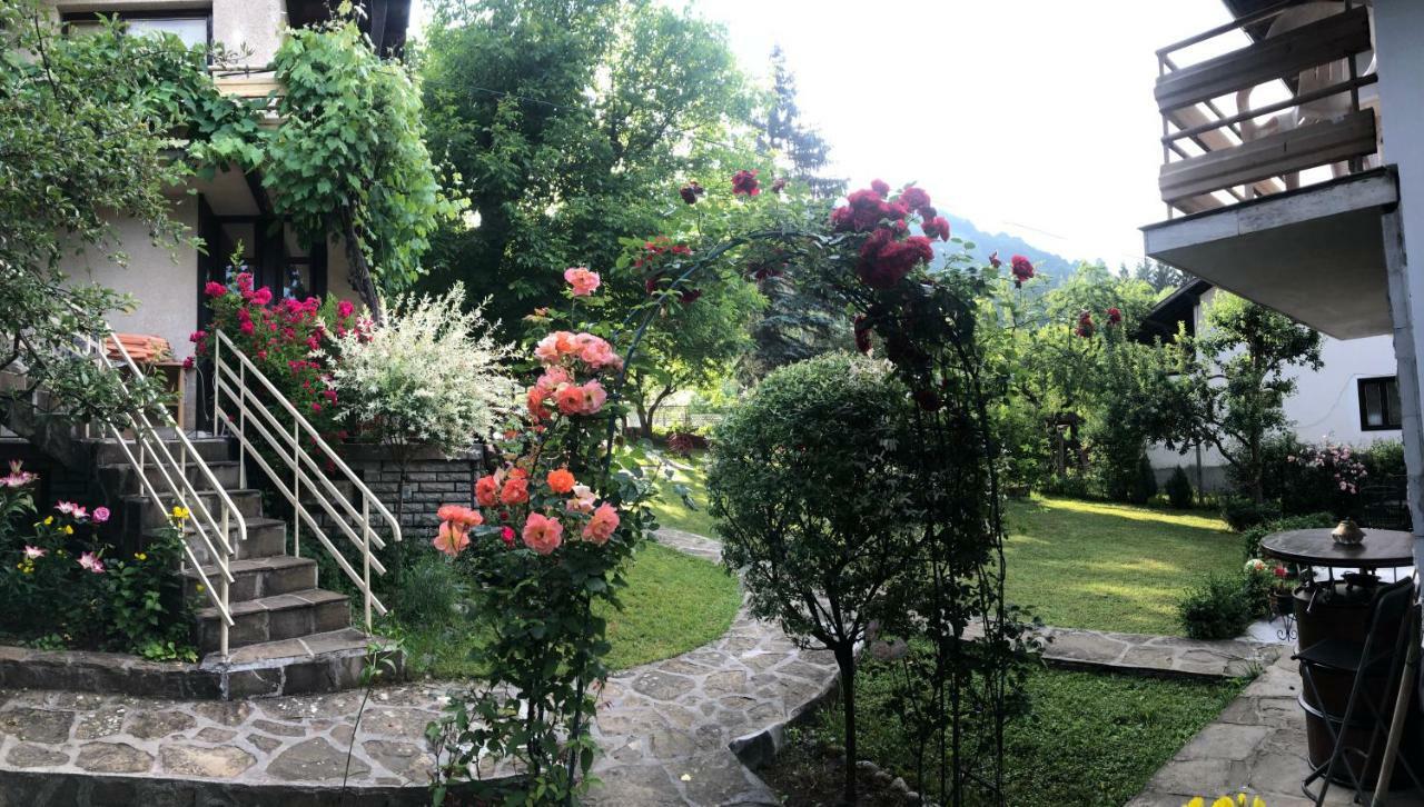Luylyana Guesthouse Ribarica Exterior photo