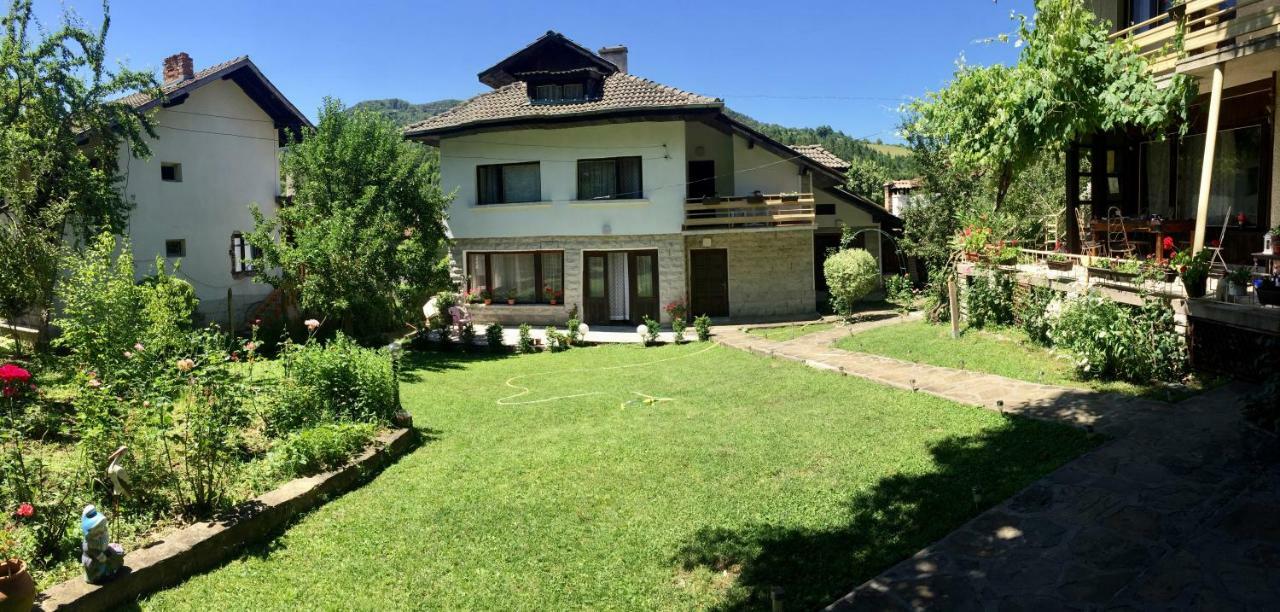 Luylyana Guesthouse Ribarica Exterior photo